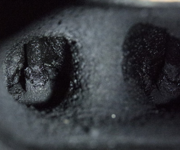 Carbon Deposits Hardening